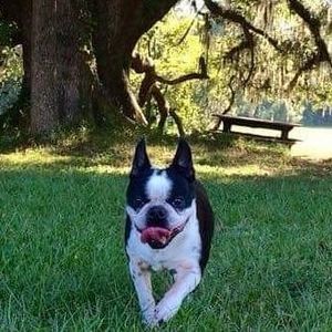 Meet your Posher, Beth